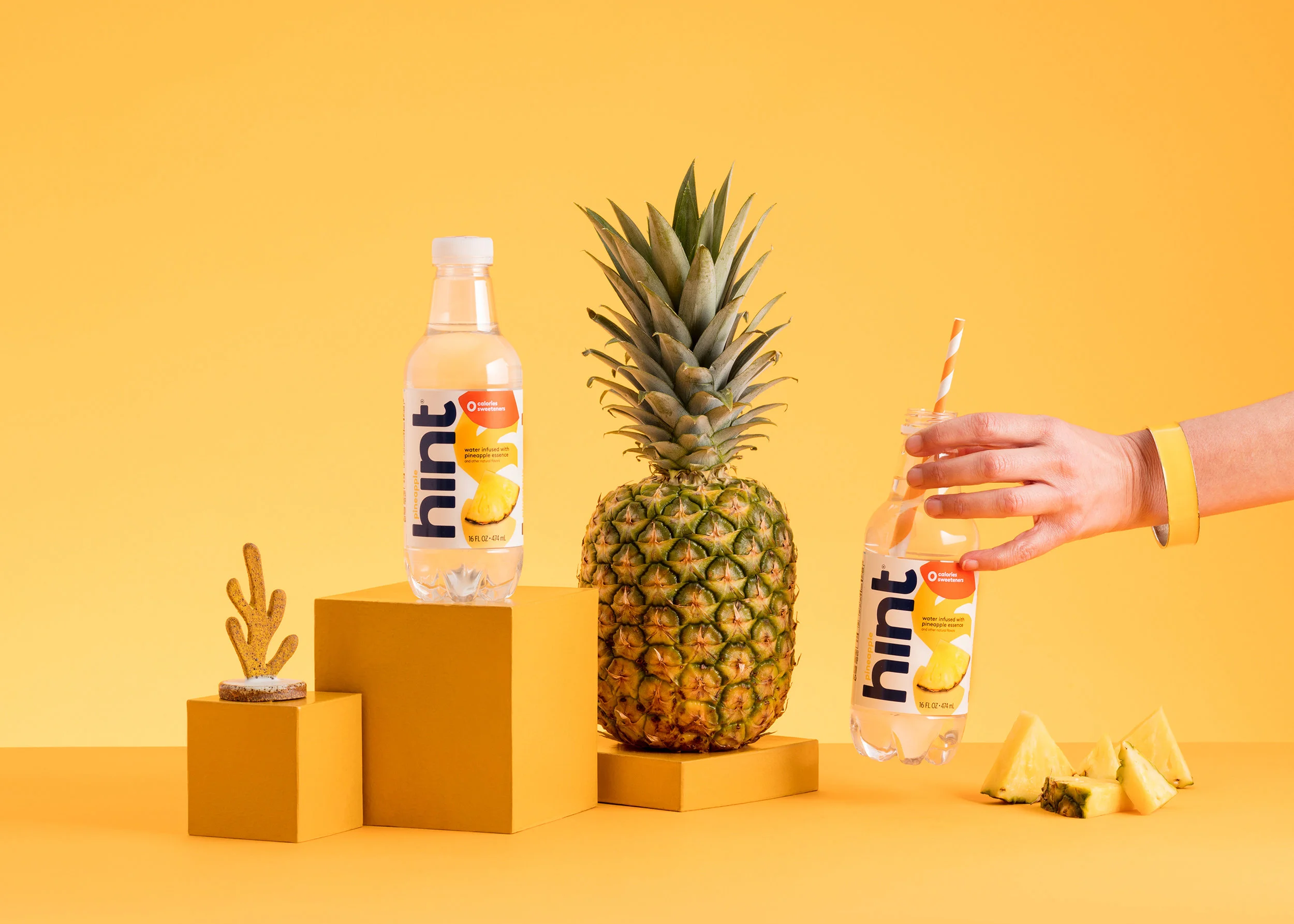 Mono_Pineapple_0488.jpg