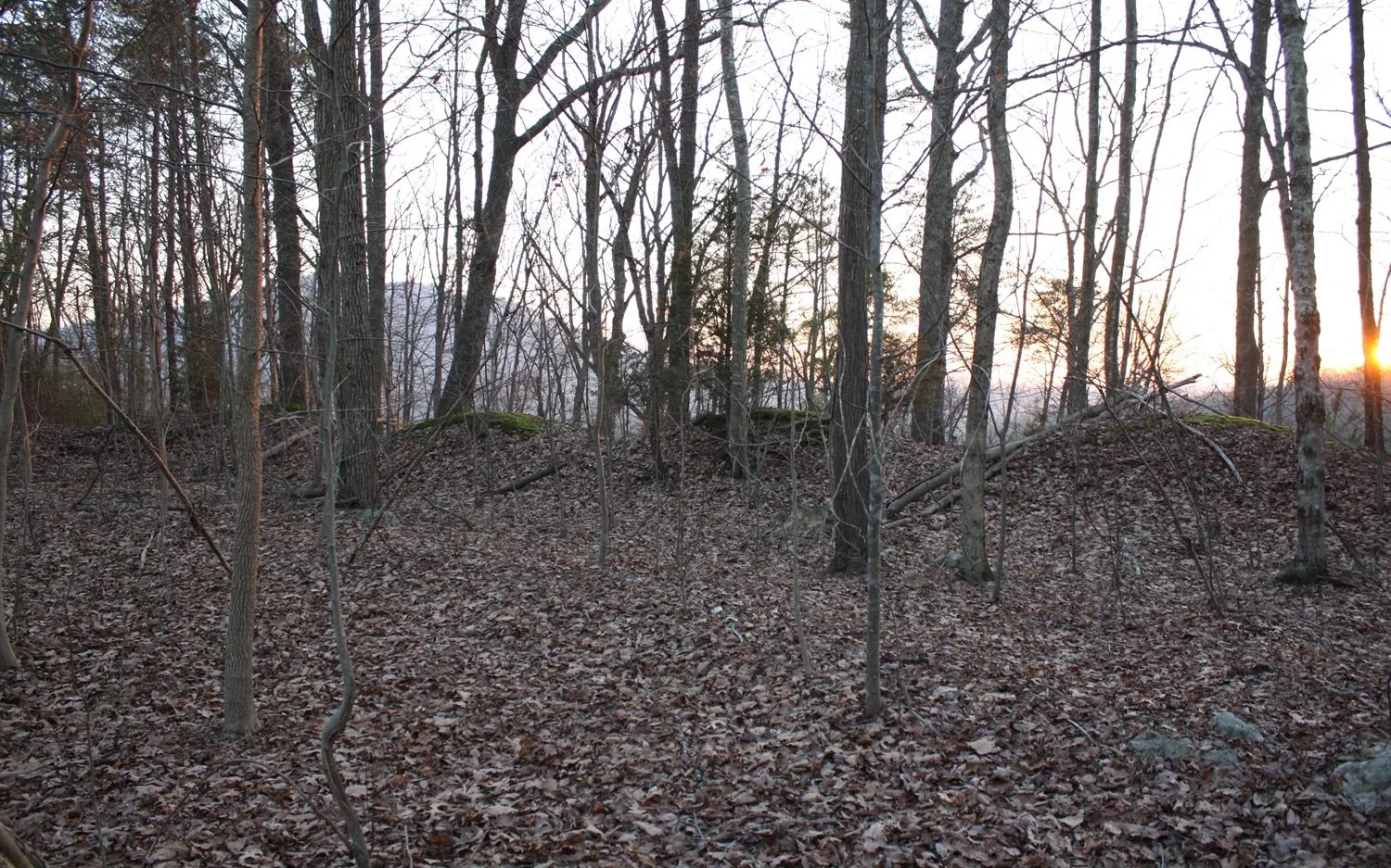 Washington Artillery - Stanford's Battery  (1).jpeg