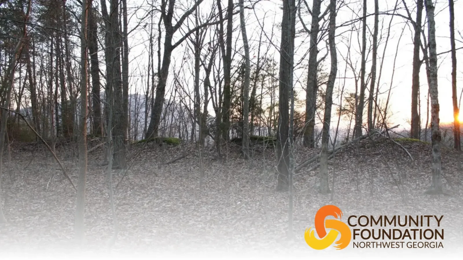 Saving the Dalton Battlefields for Future Generations