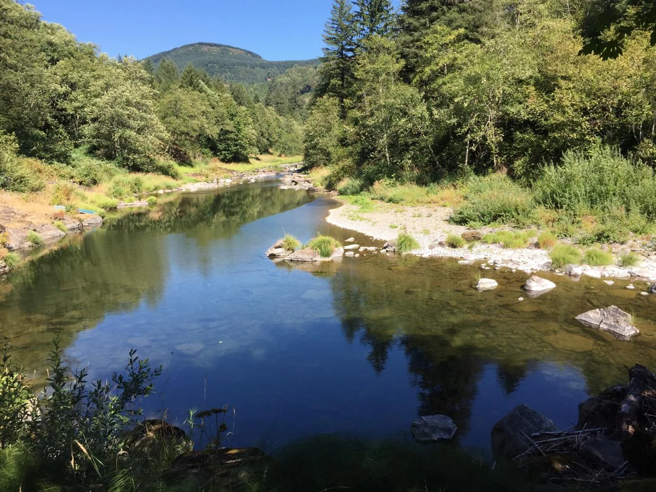 Annual Fundraiser — Washougal Timber Trails