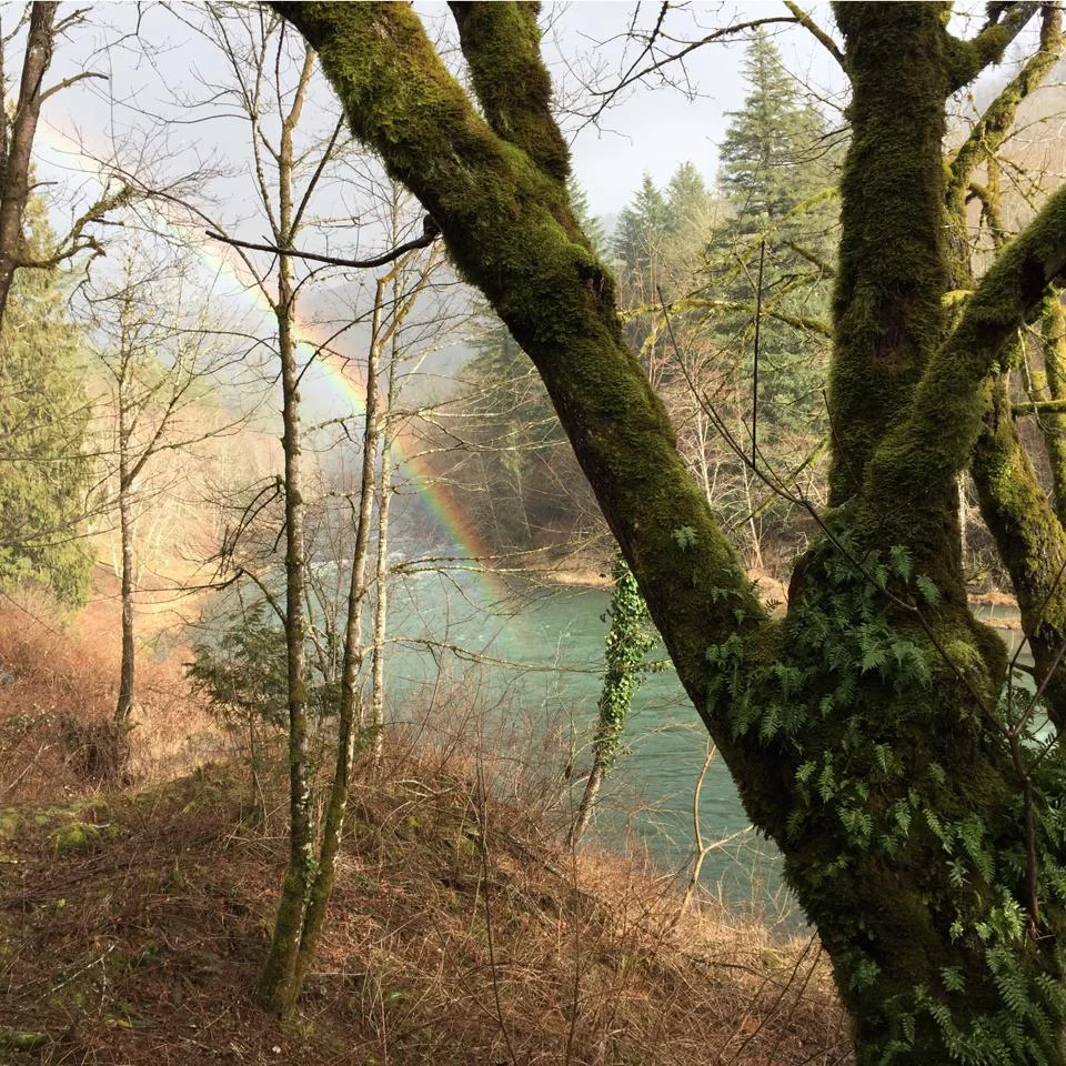 Annual Fundraiser — Washougal Timber Trails