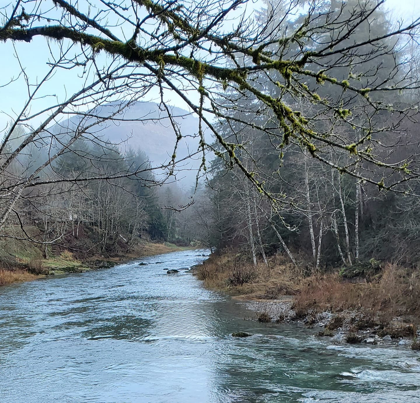 Winter River.jpg
