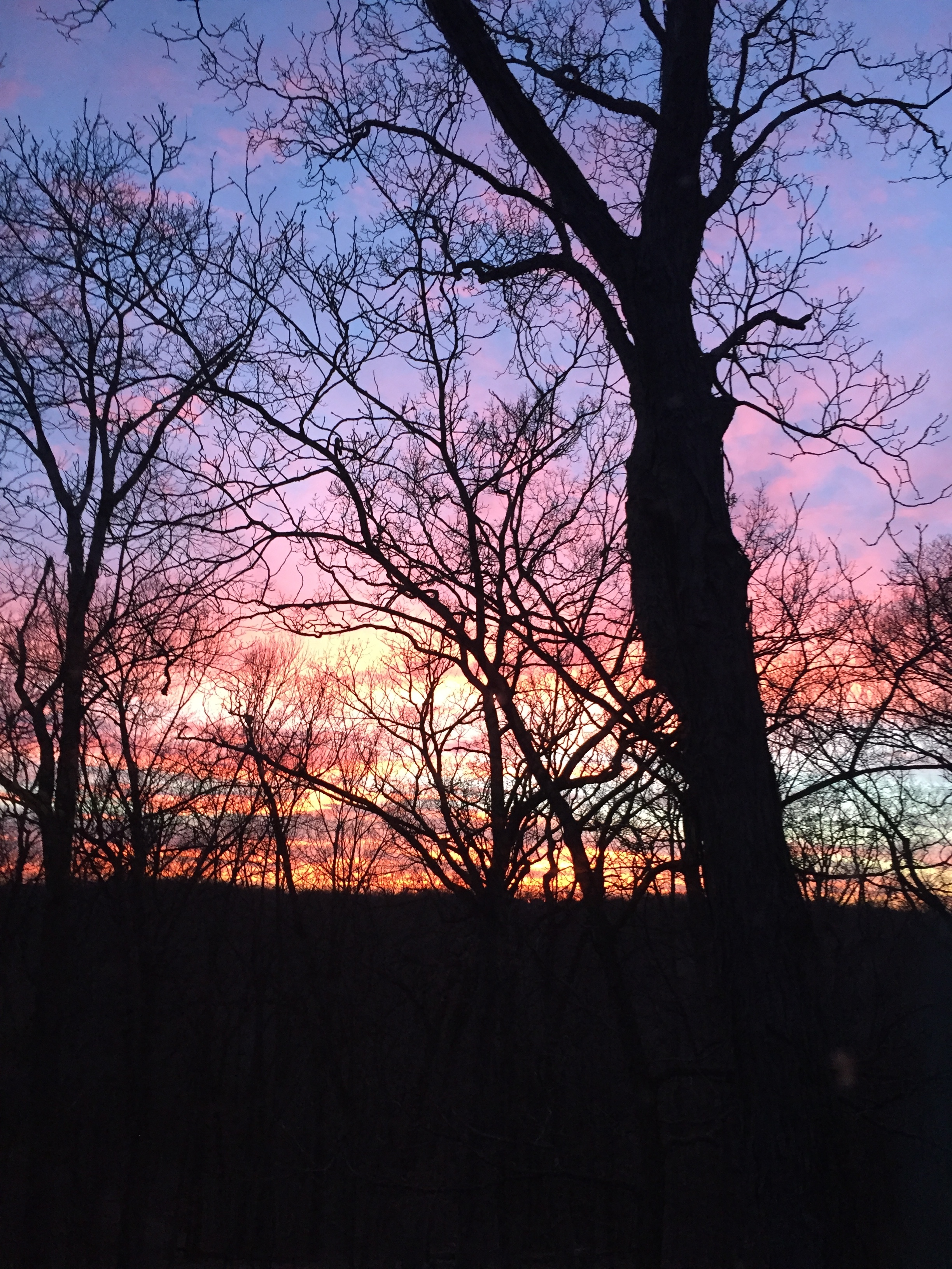 February sunset.jpeg