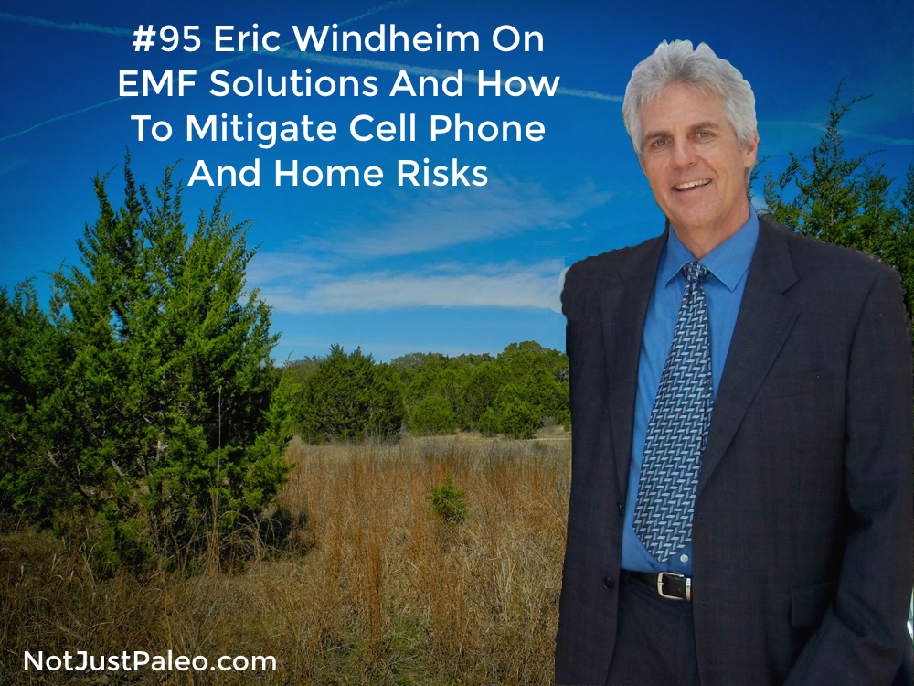95-Eric-Windheim-On-EMF-Solutions-And-How-To-Mitigate-Cell-Phone-And-Home-Risks.jpg