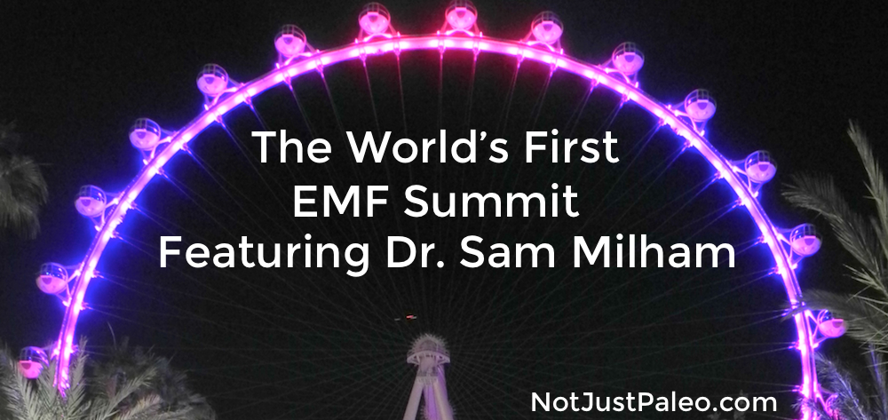 The-Worlds-First-EMF-Summit.jpg
