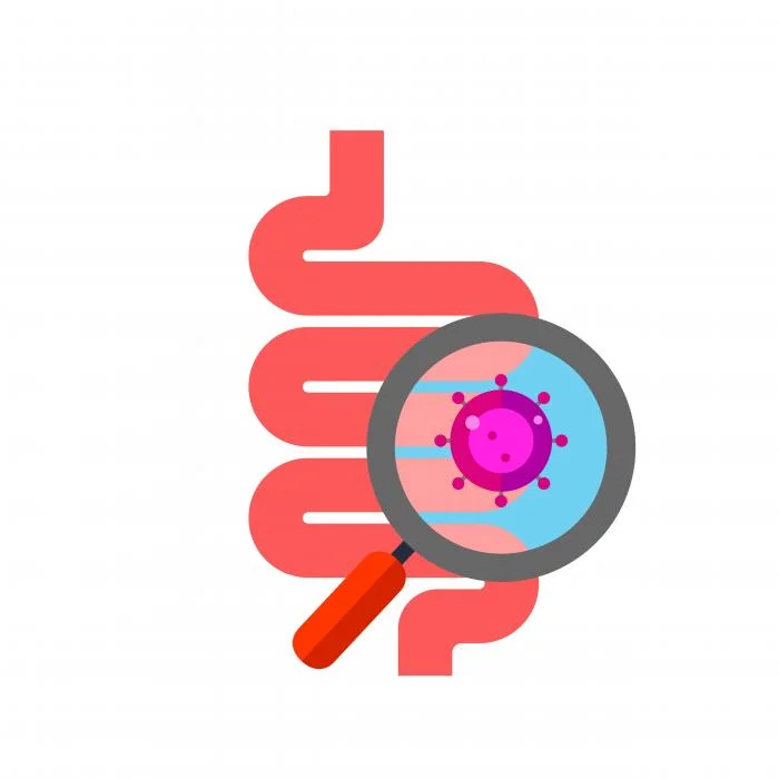 gut-bacteria-stylised-illustration.jpg