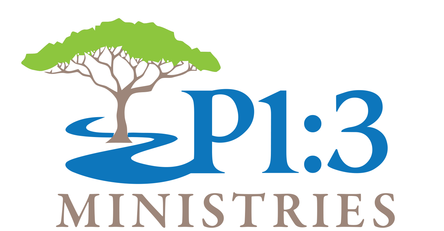 P1:3 Ministries