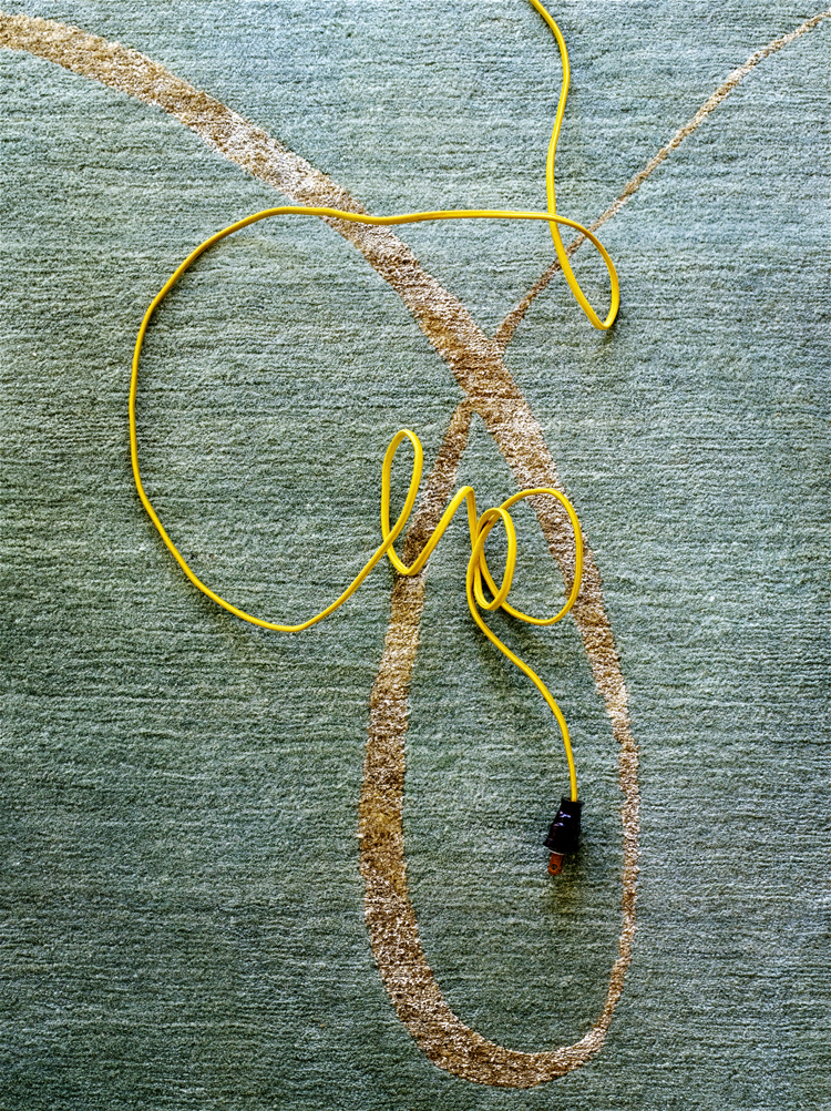 KENNELLY_CARPET_DETAIL.jpg