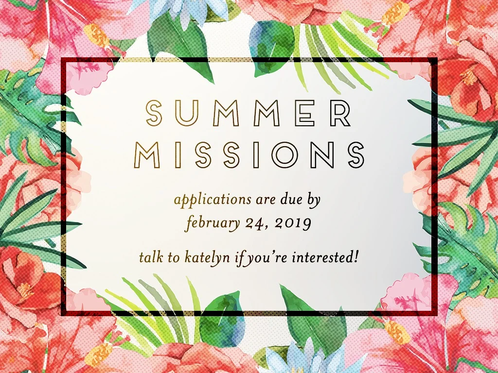 Summer Missions