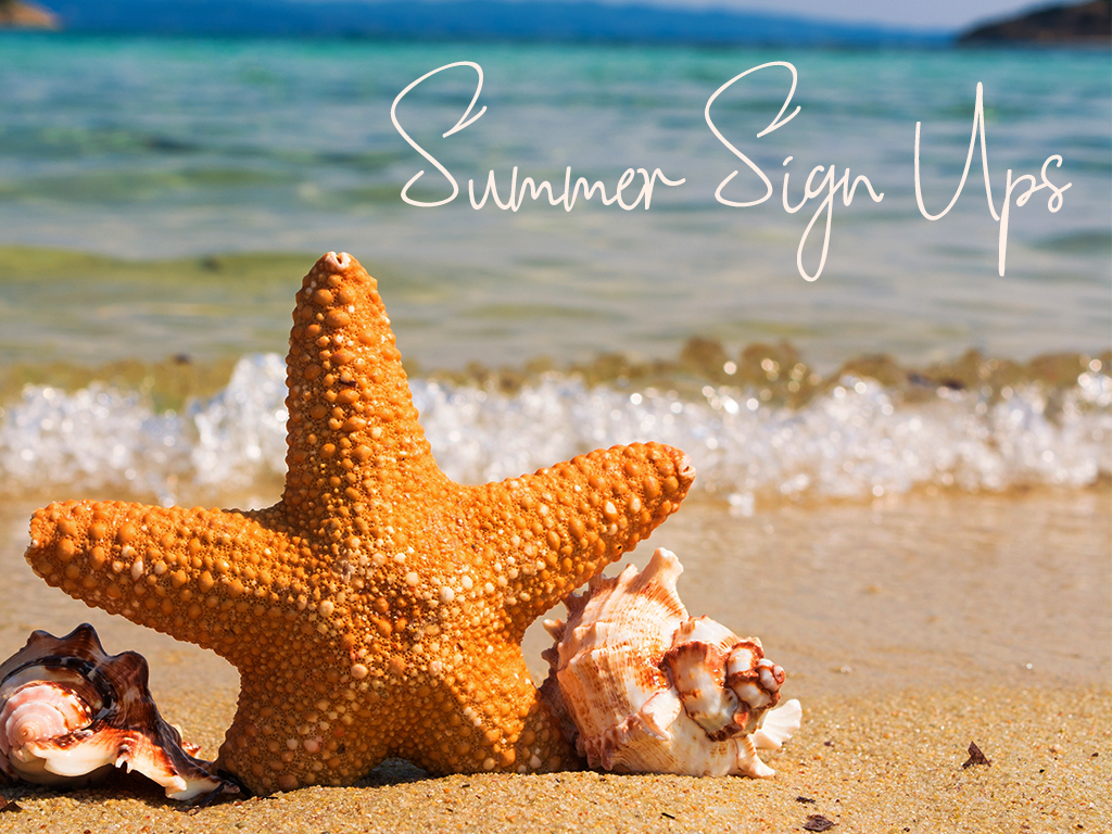 Summer Sign Ups