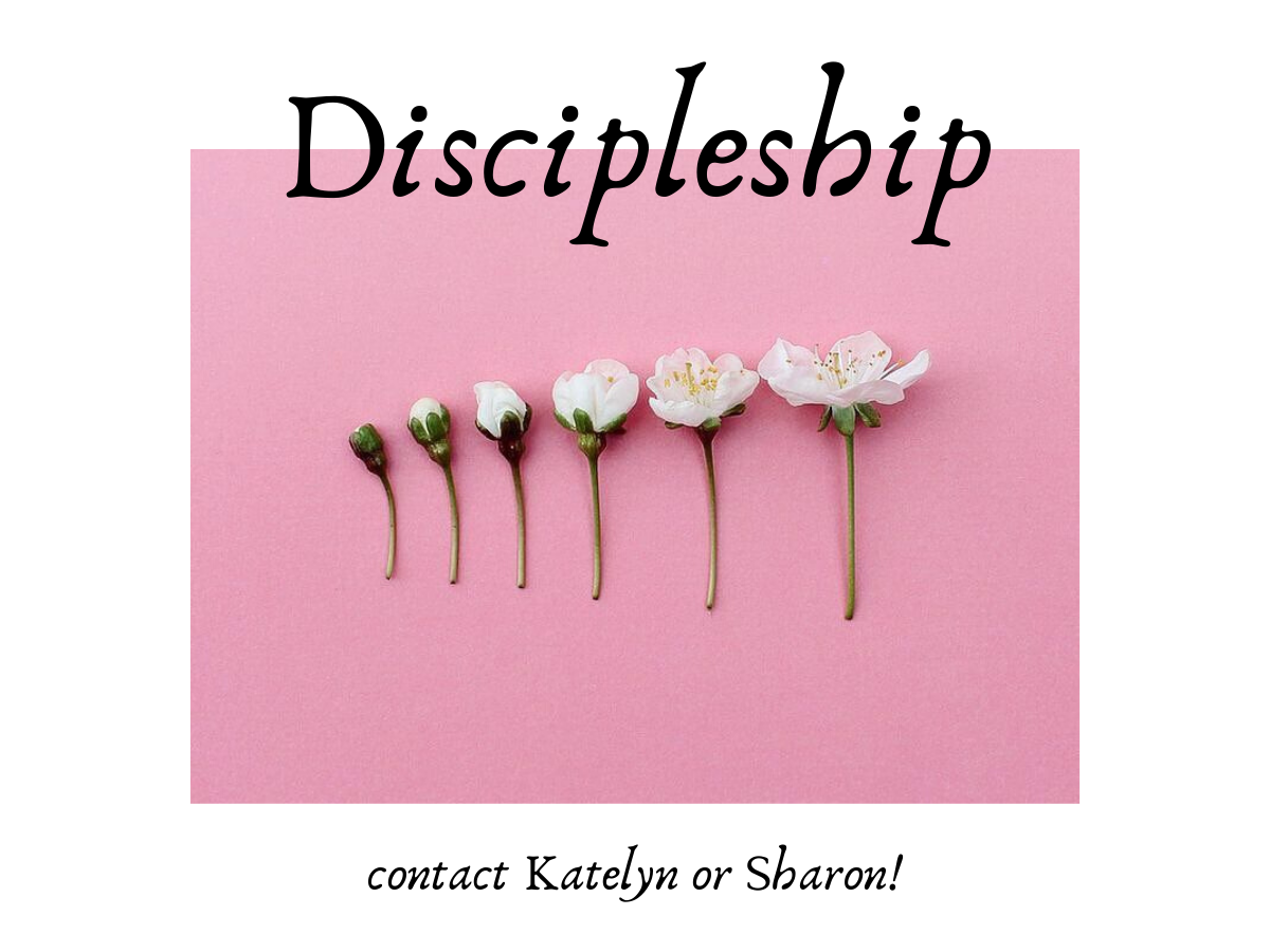 Discipleship