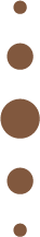 LZ_HOLOS_VerticalDots_RustColor@3x.png