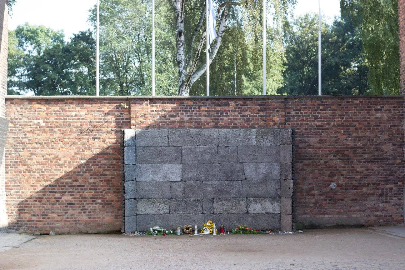 24.jpg