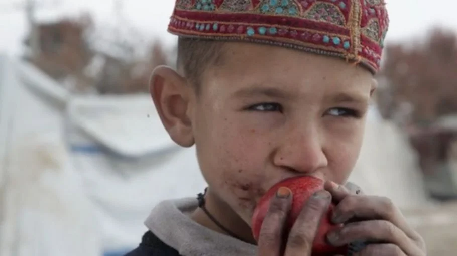 Collected Landays Awarded Editors Prize by Poetry Magazine