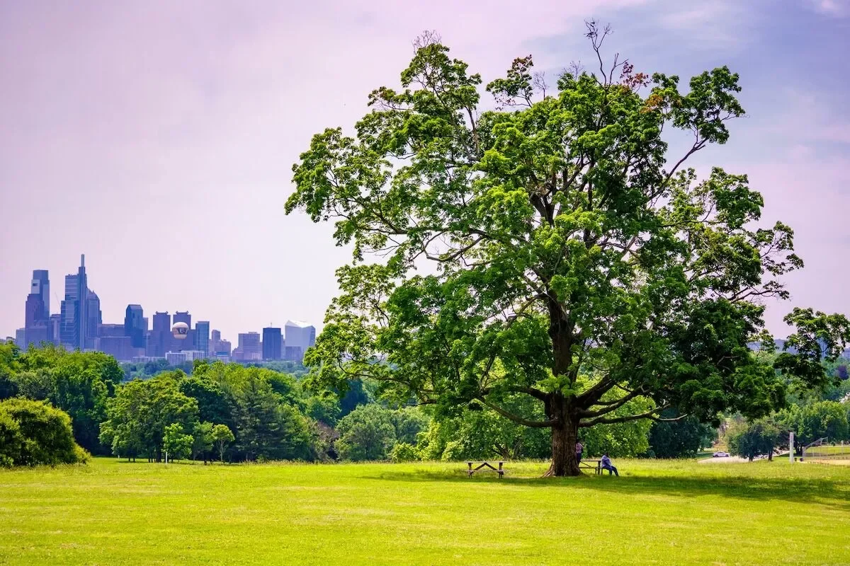 How to Love Your Park All Year Round