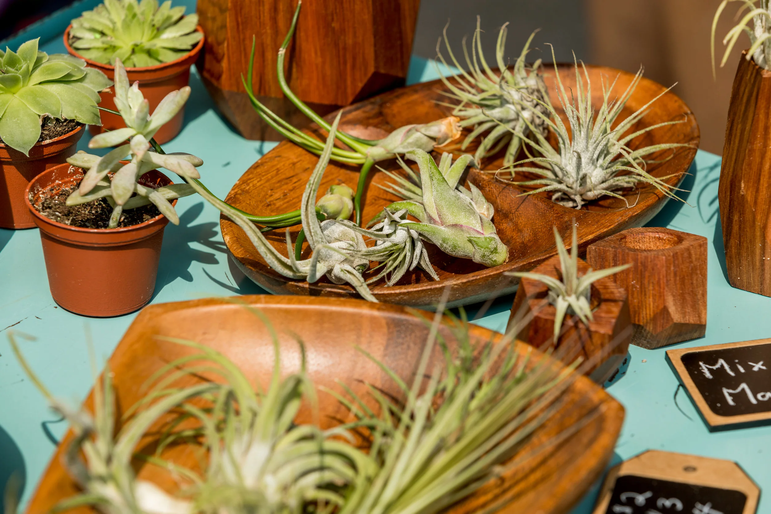 TasteoftheArts2018-189.jpg