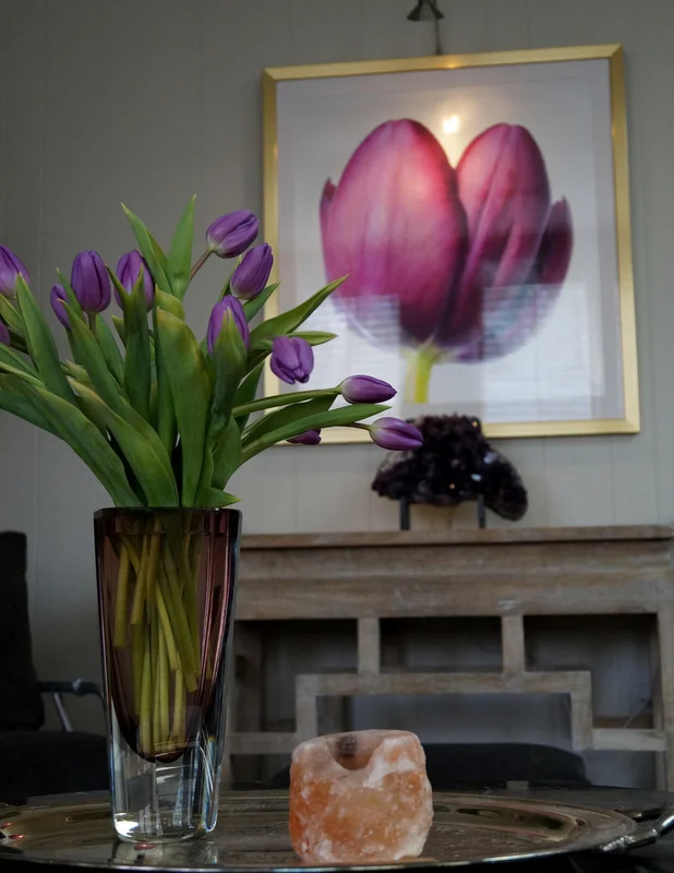 phillips_johnston_interior_design_memphis_sunroom_10.JPG