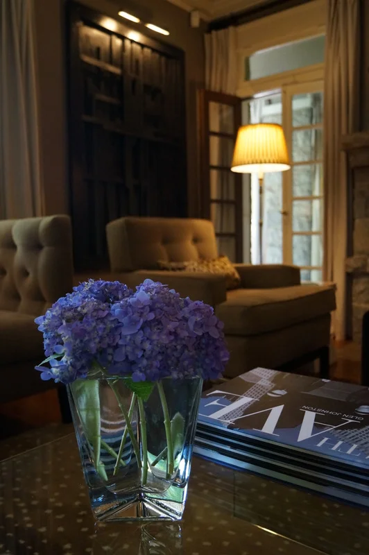 phillips_johnston_interior_design_quapaw transitional_living_room_21..JPG