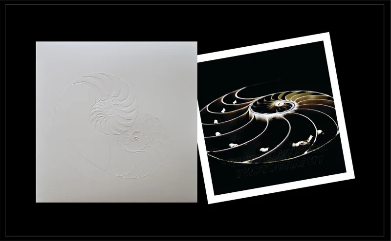 Rayburn Your Mind Lithograph 4 with Embossed Slipcase.jpg