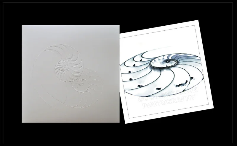 Rayburn Your Mind Lithograph 5 with Embossed Slipcase.jpg