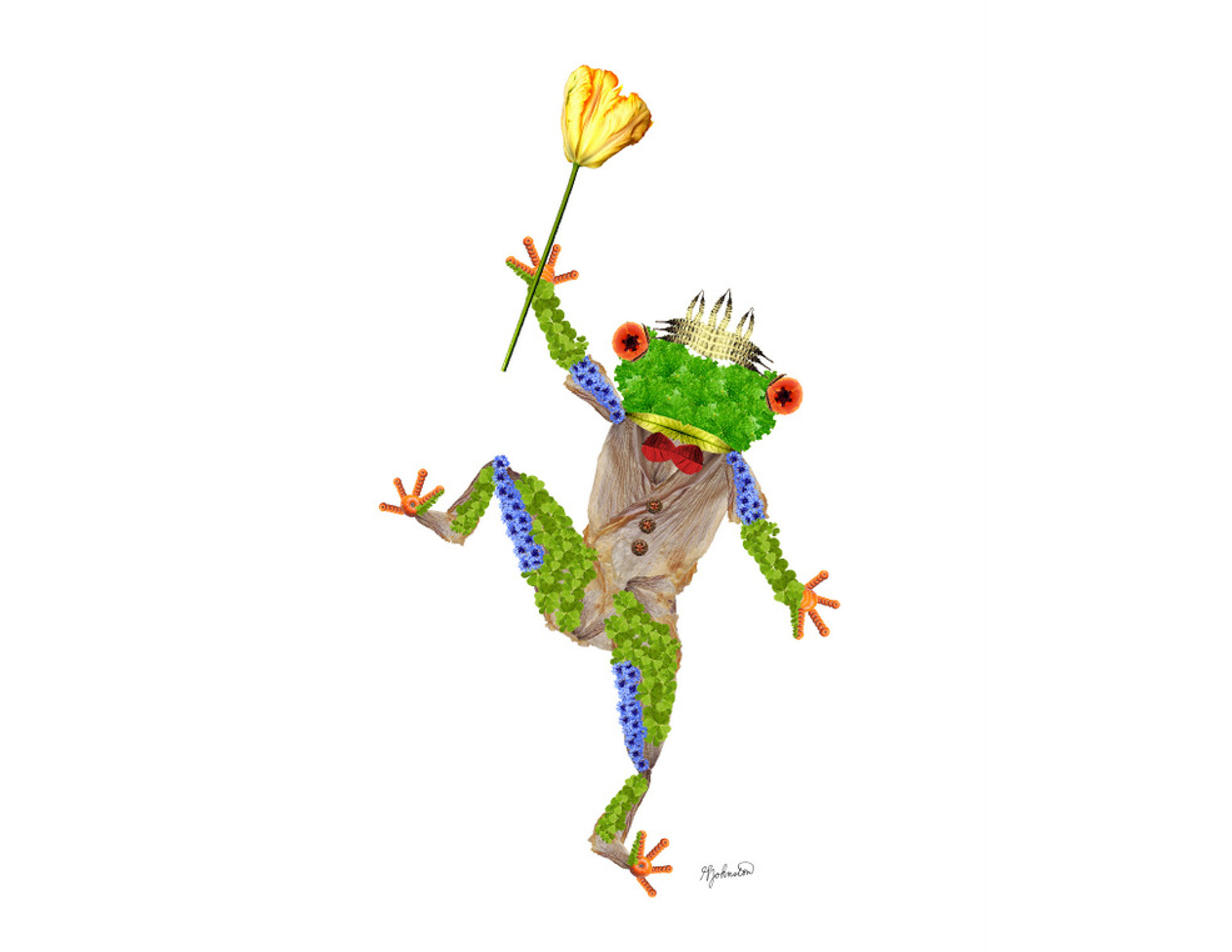 glen_johnston_botanimals_frog_4.jpg