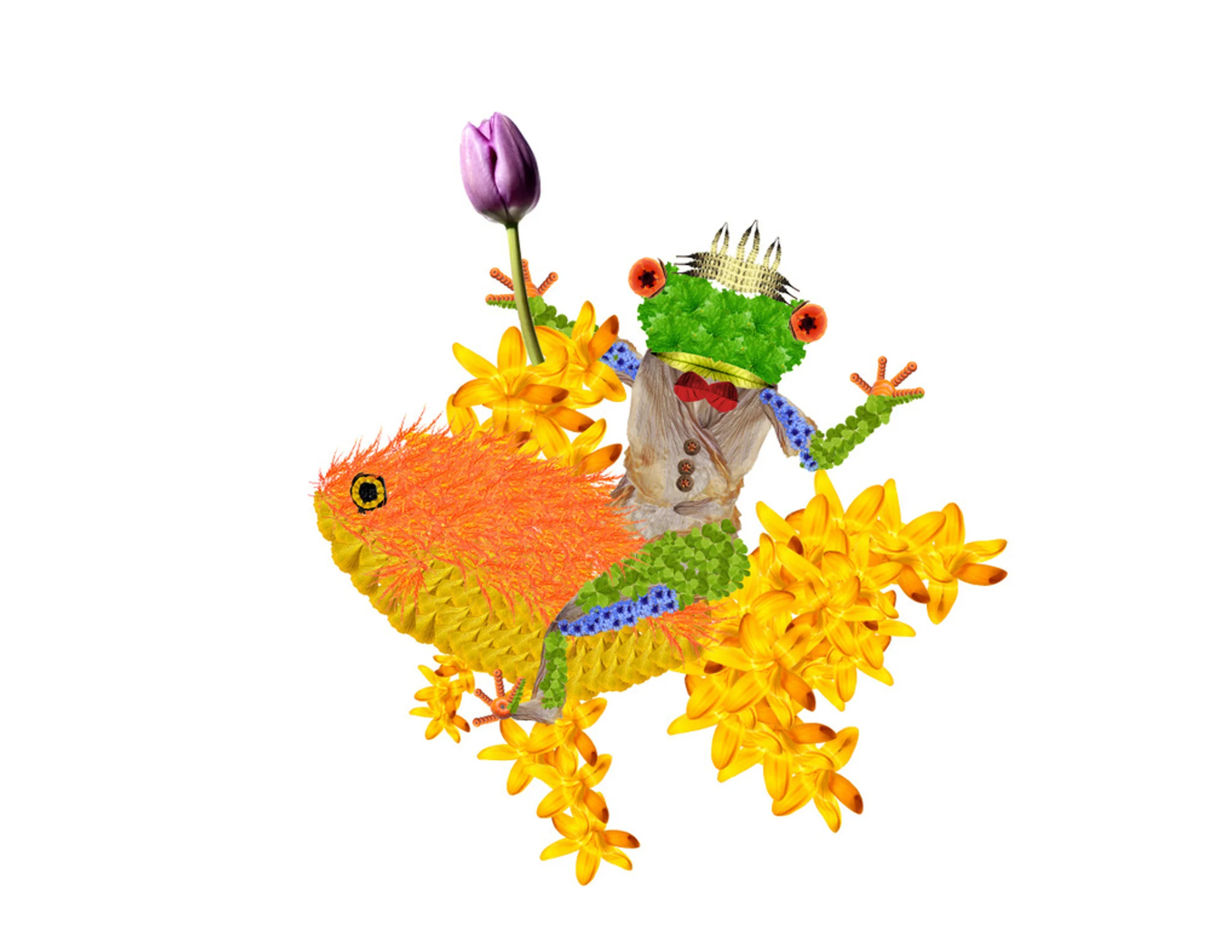 glen_johnston_botanimals_frog_goldfish.jpg