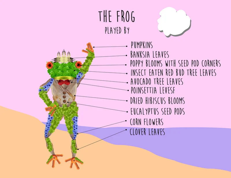 glen_johnston_botanimals_frog_played_by.jpg