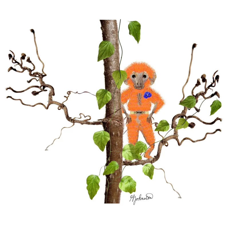 glen_johnston_botanimals_monkey_dresses.jpg