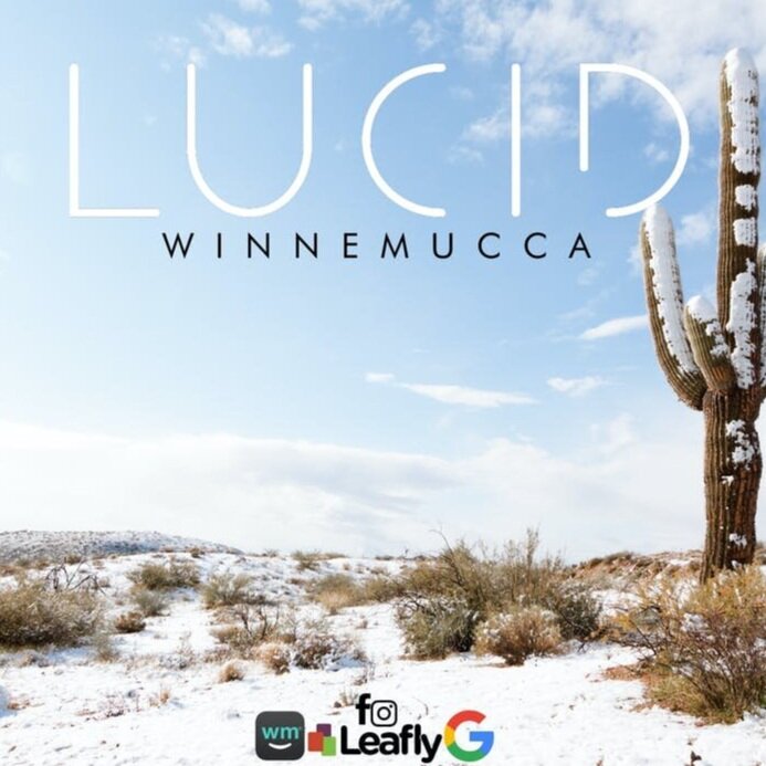 Lucid Winemucca