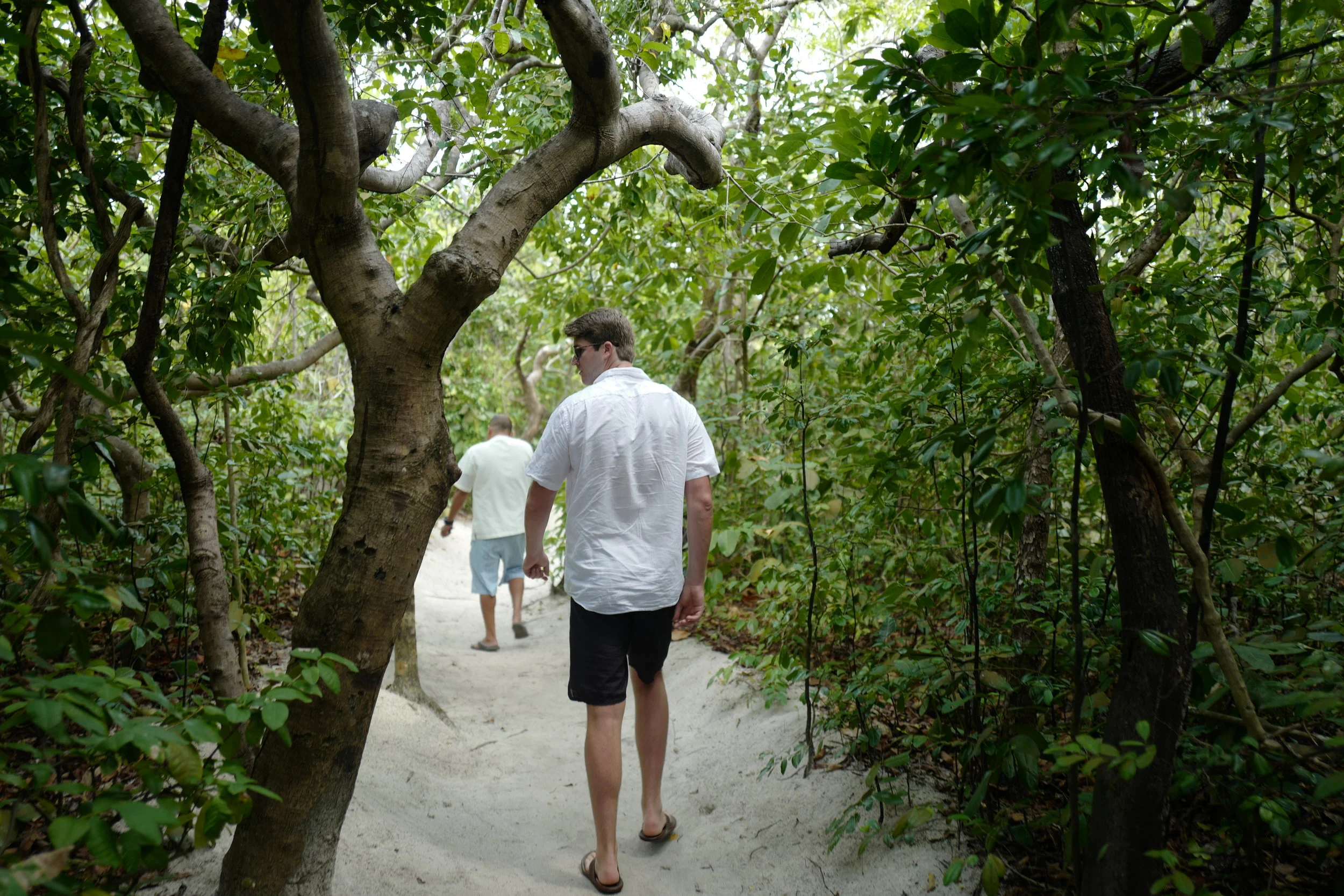  A little hidden pathway that leads you to a lunch spot on the island. 