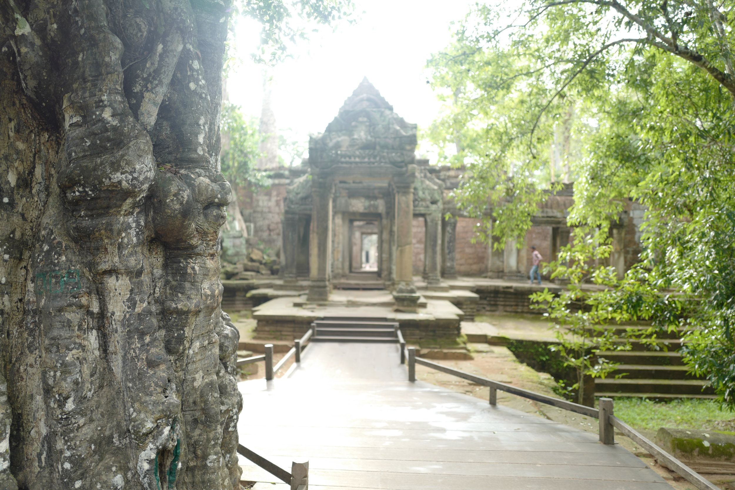 Ta Prohm 