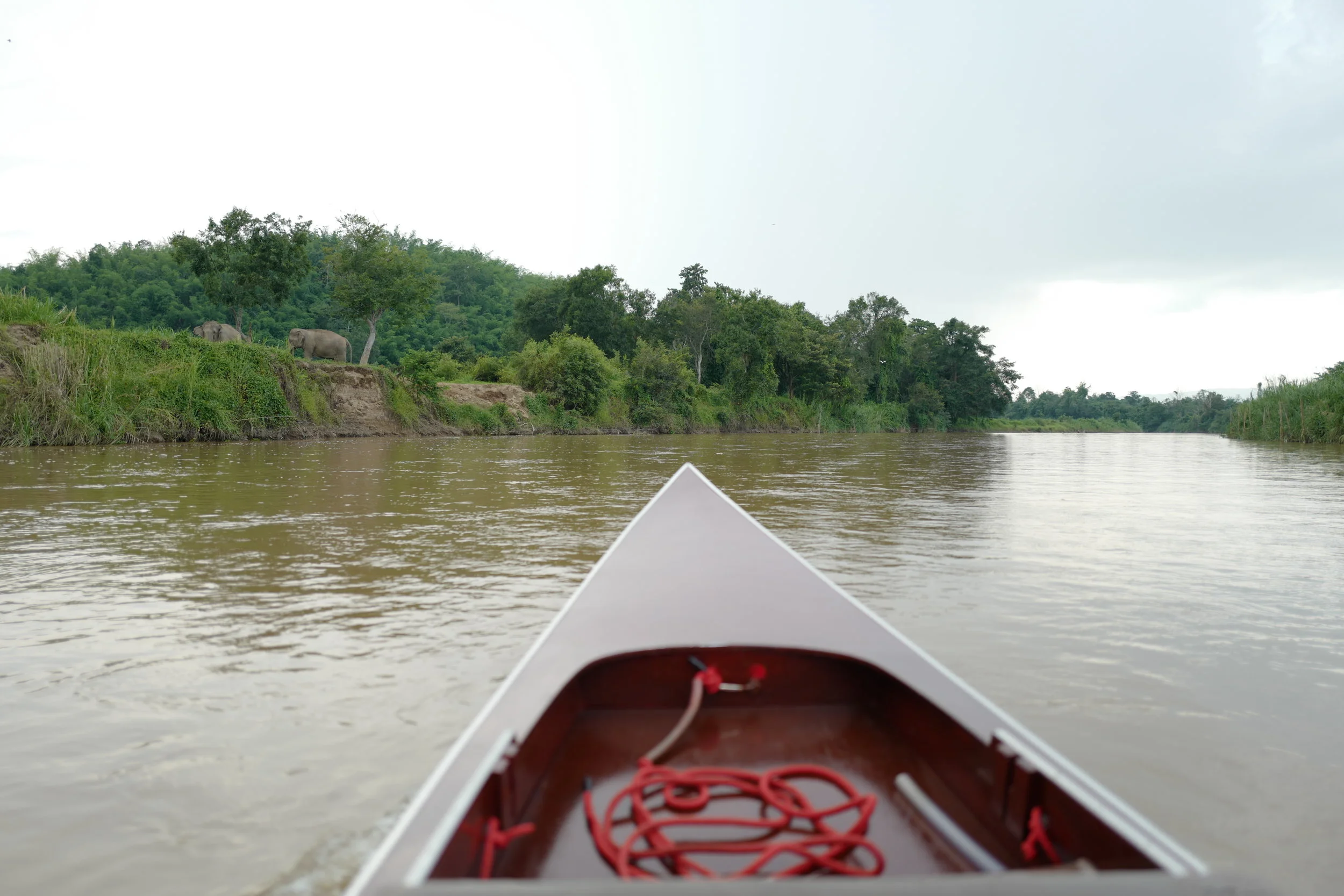 L1070092.JPG