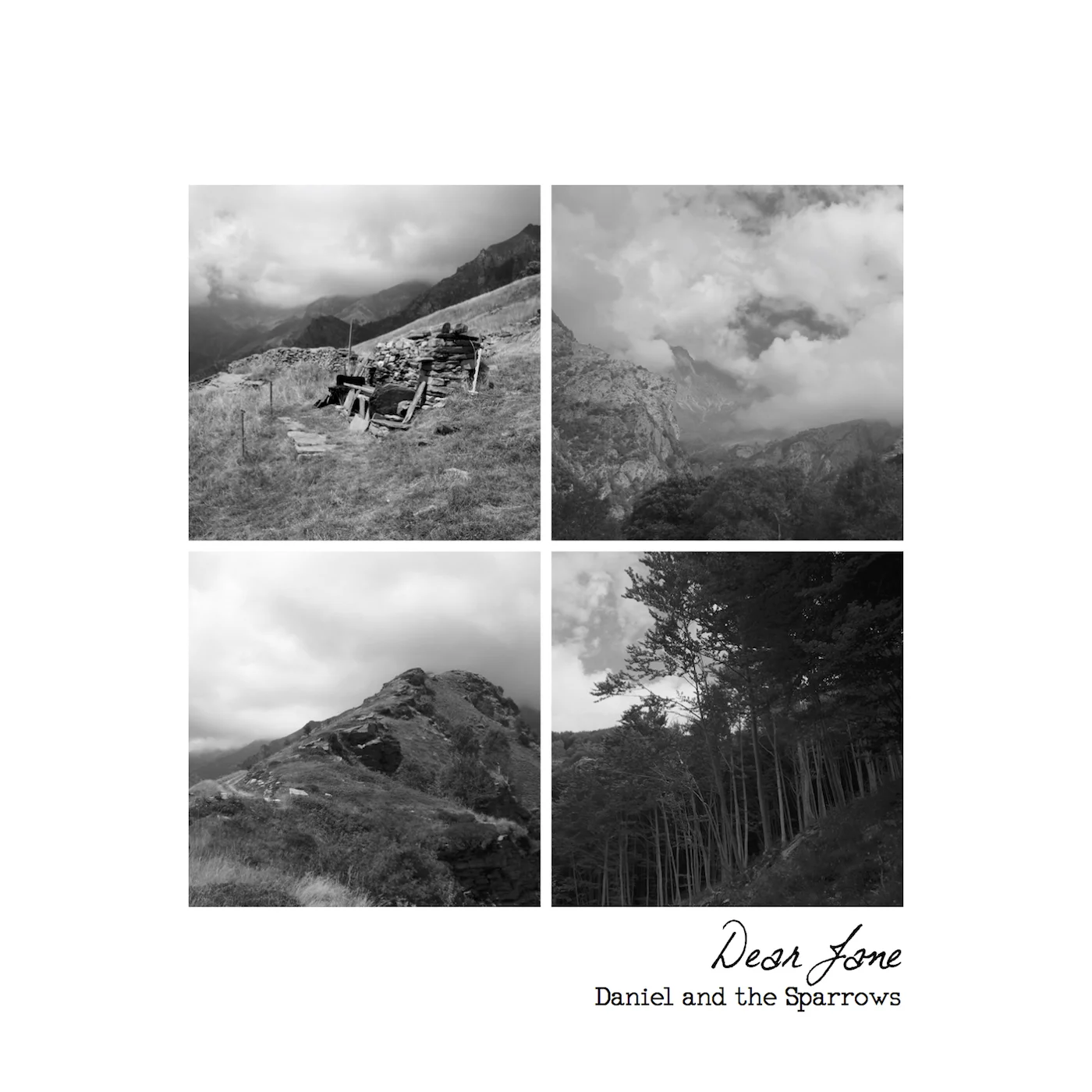 Dear Jane album art CD.jpg