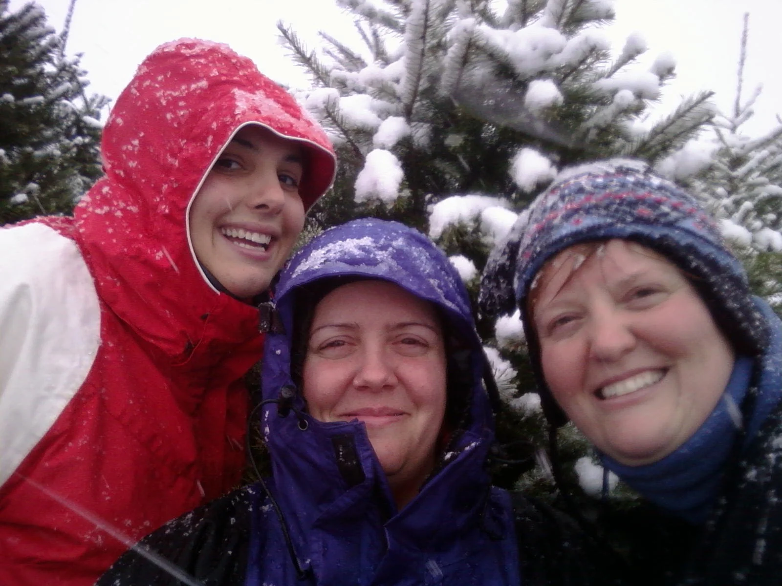 The most magical tree farm day ever.