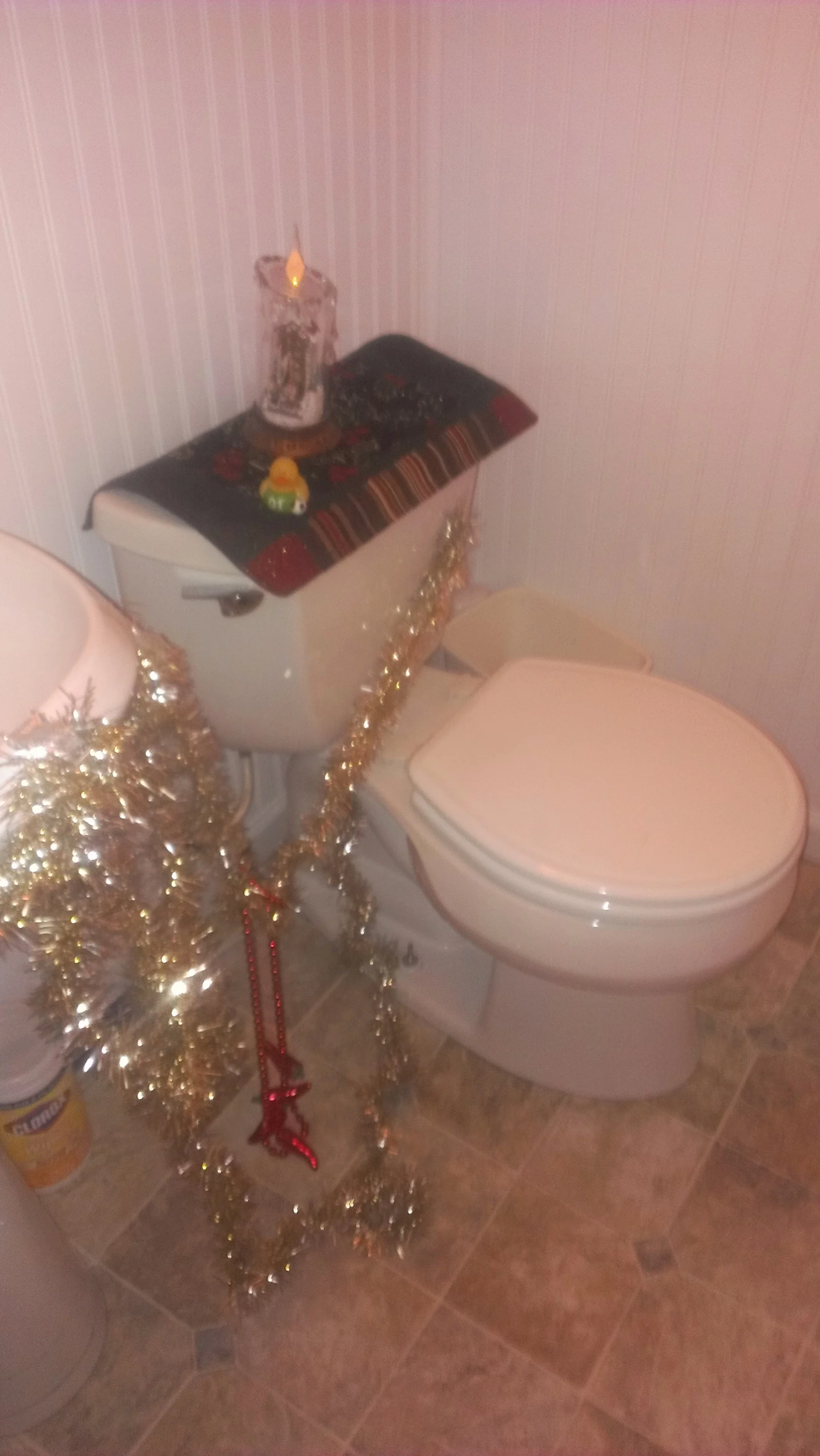 NYE toilet.jpg