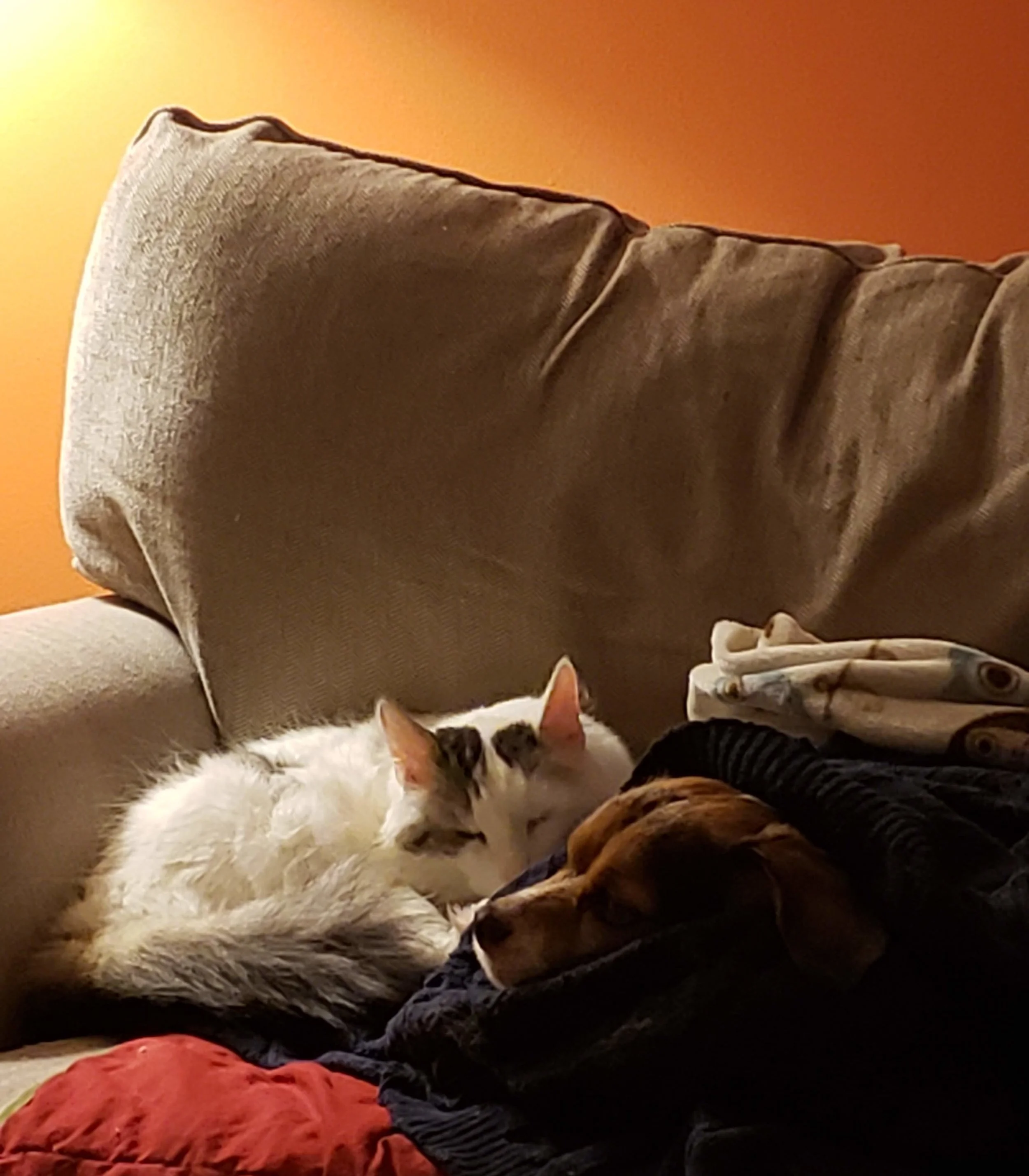 Max and Jack cuddling before the chaos.