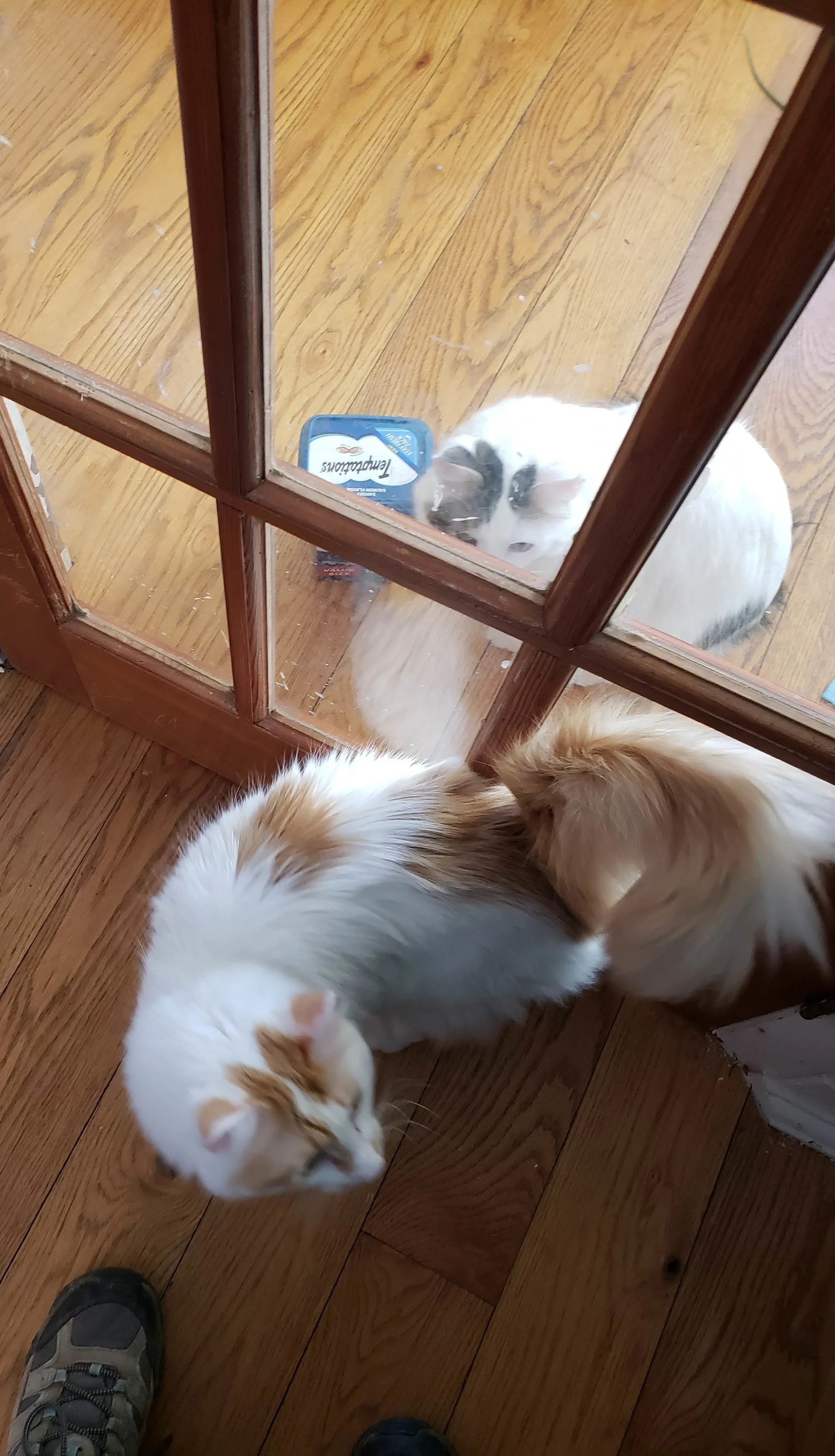 Working it out with treats.
