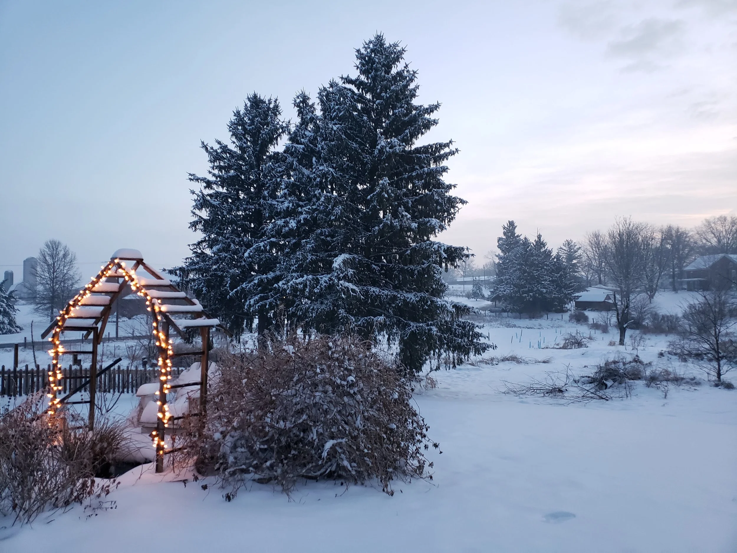 Snow day at Marsh Farm.