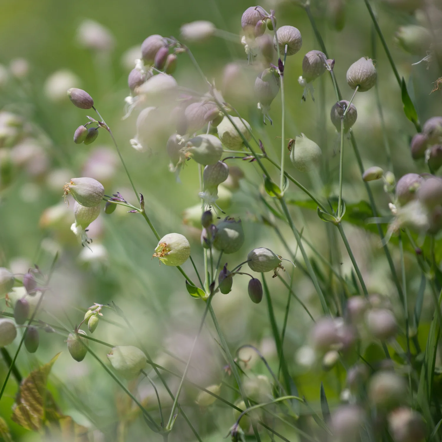 What's It All About?