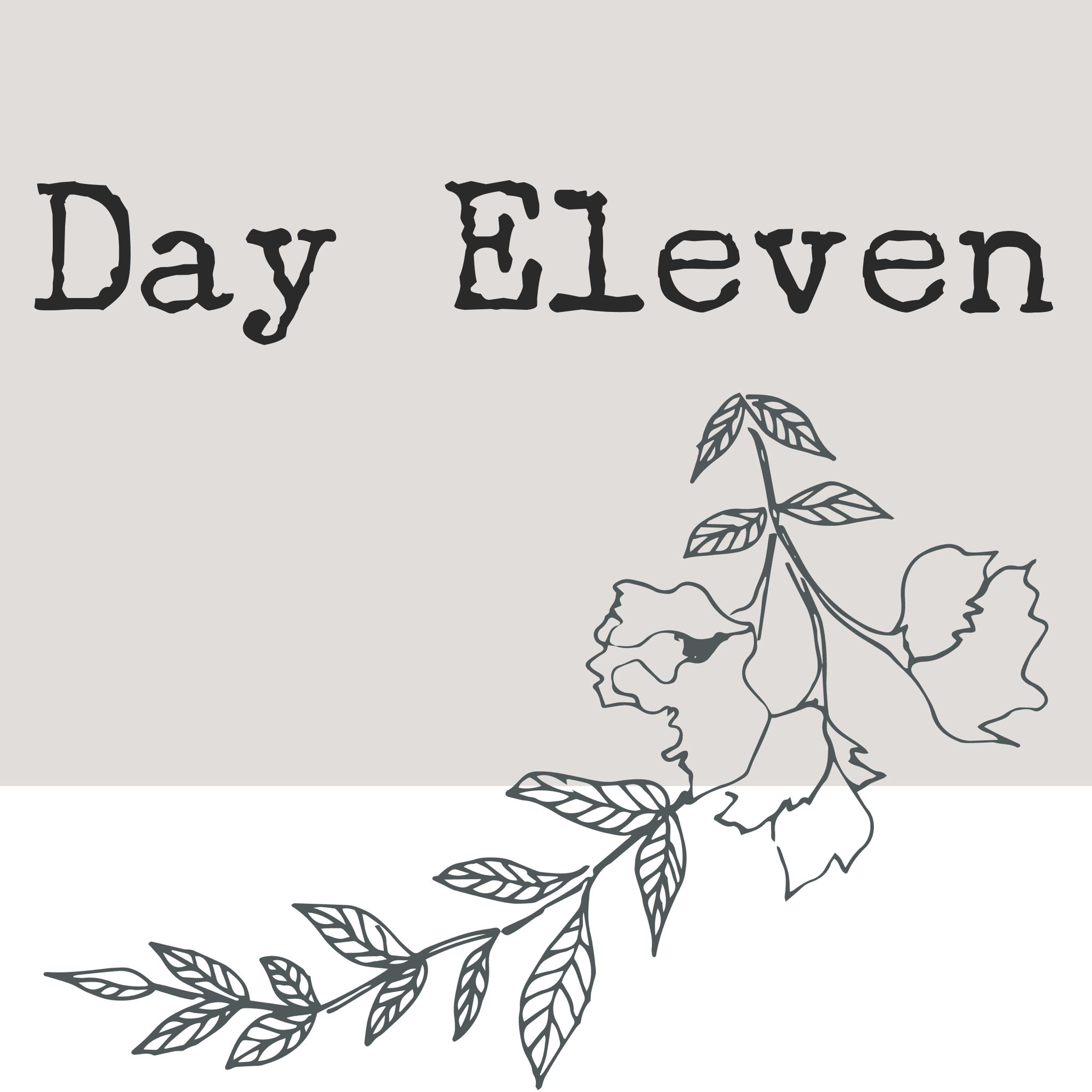 Day Eleven