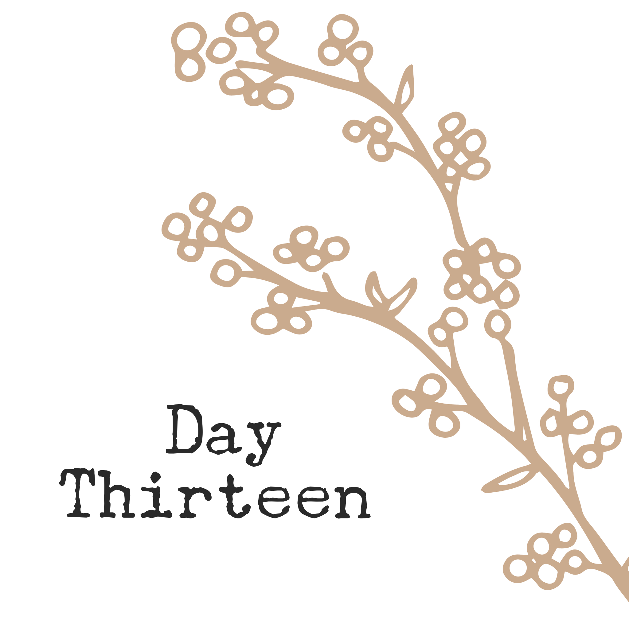 Day Thirteen