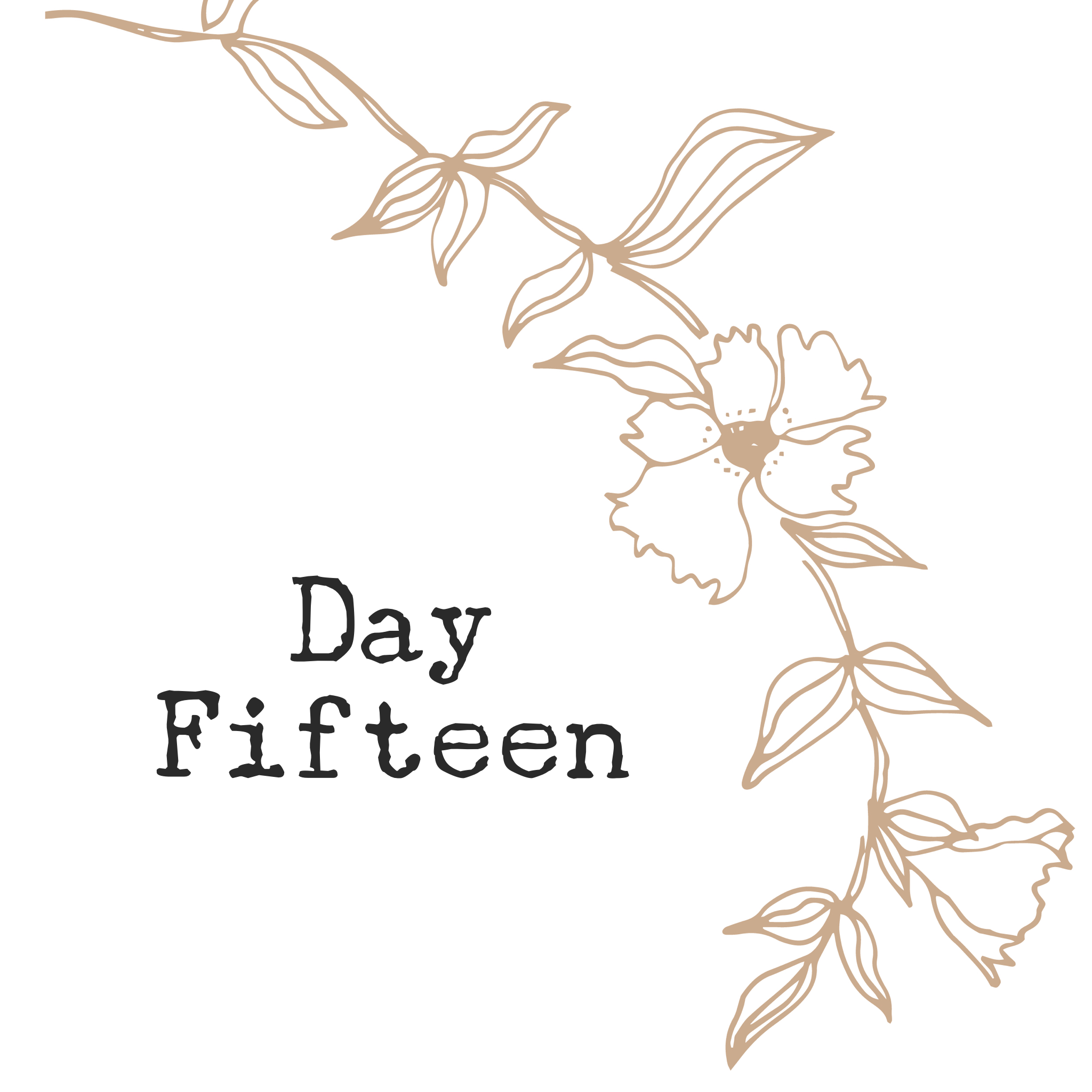 Day Fifteen
