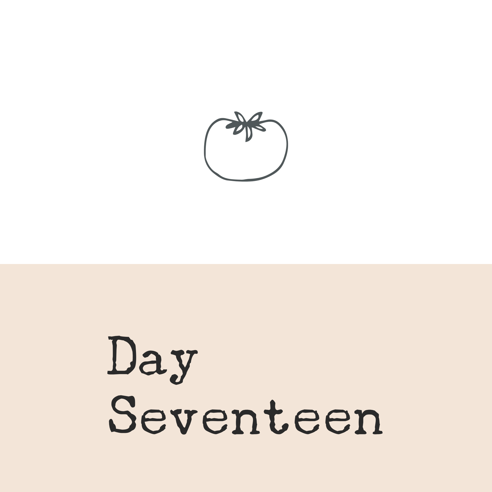 Day Seventeen