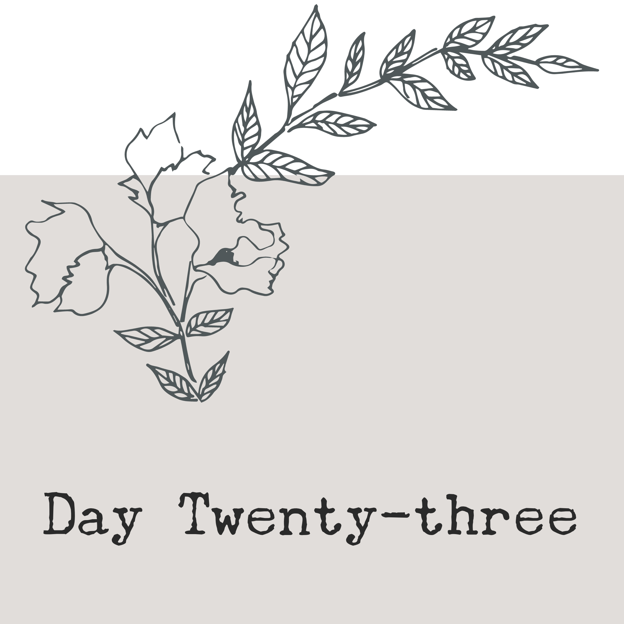 Day Twenty-three