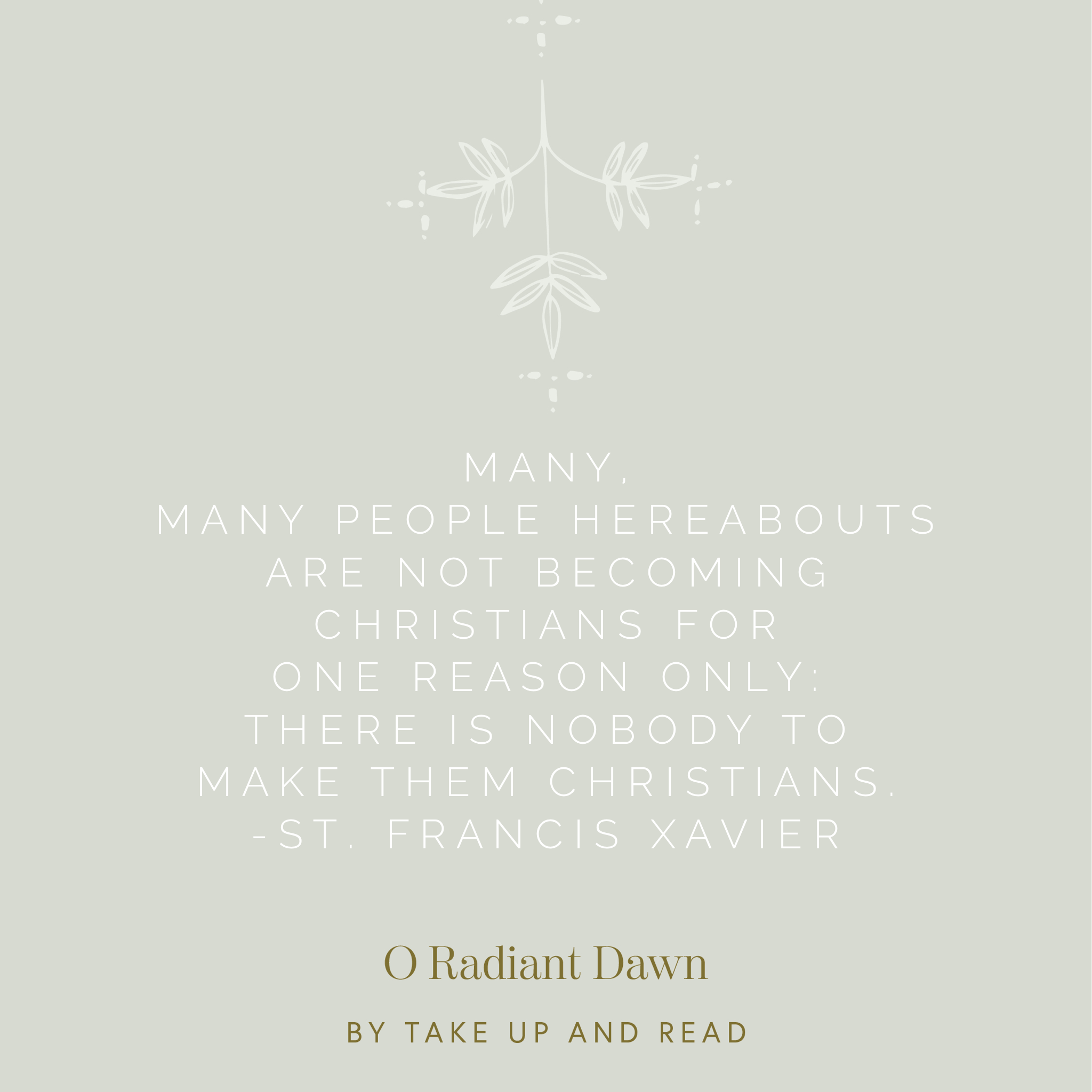 O Radiant Dawn: December 3