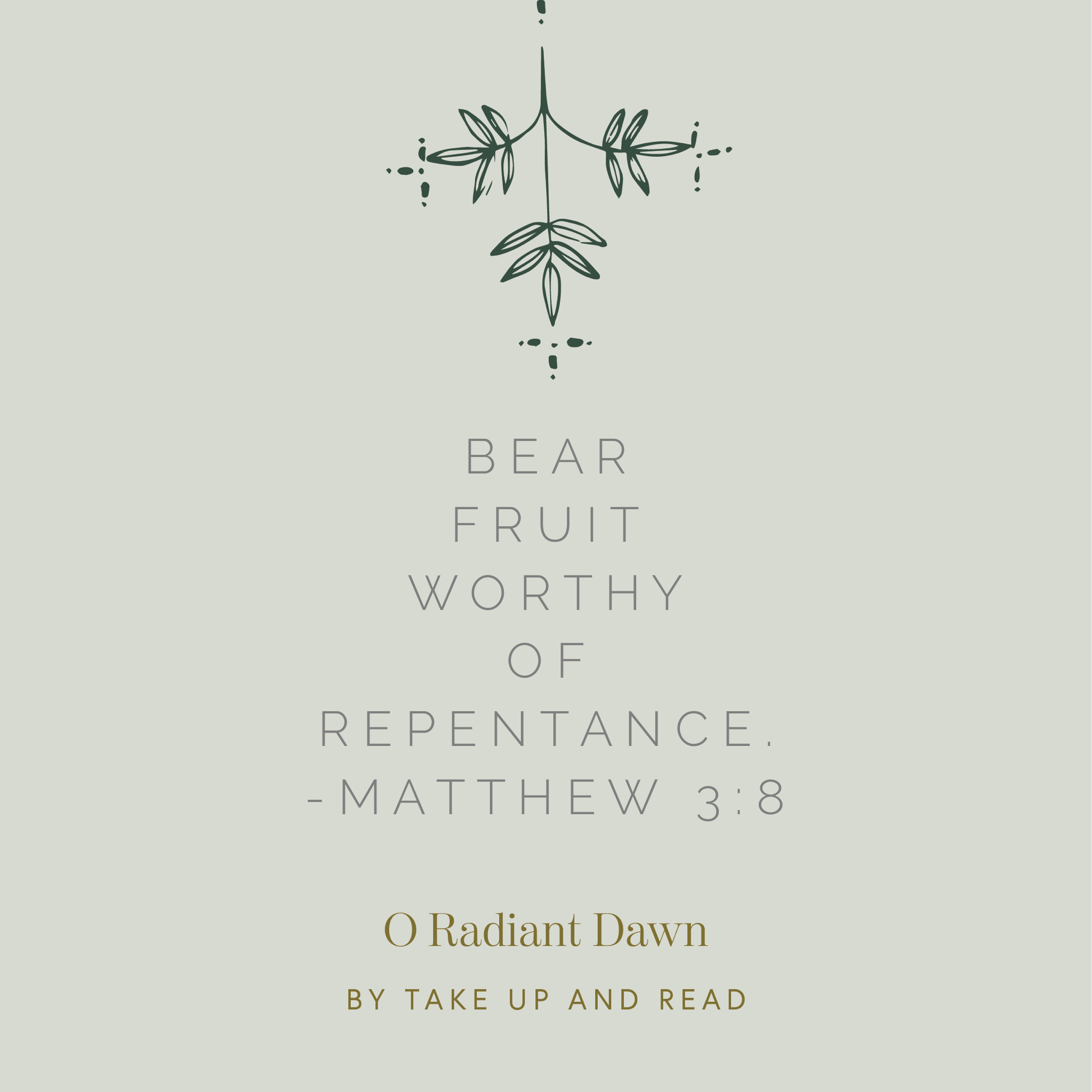 O Radiant Dawn: December 8