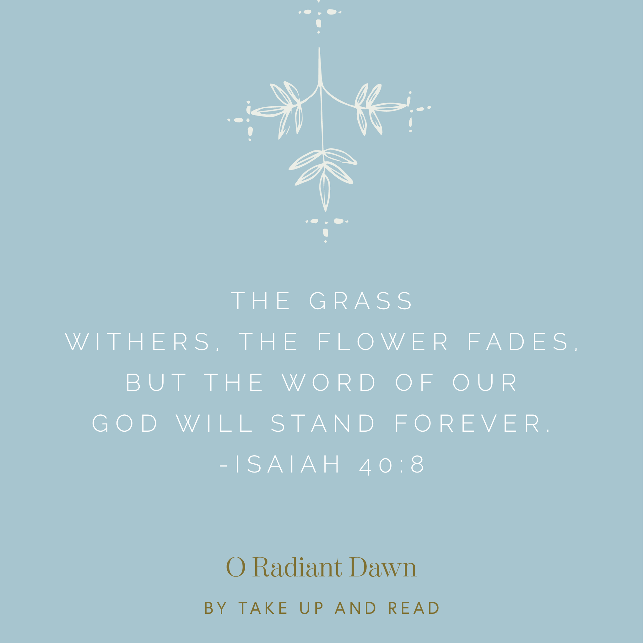 O Radiant Dawn: December 10