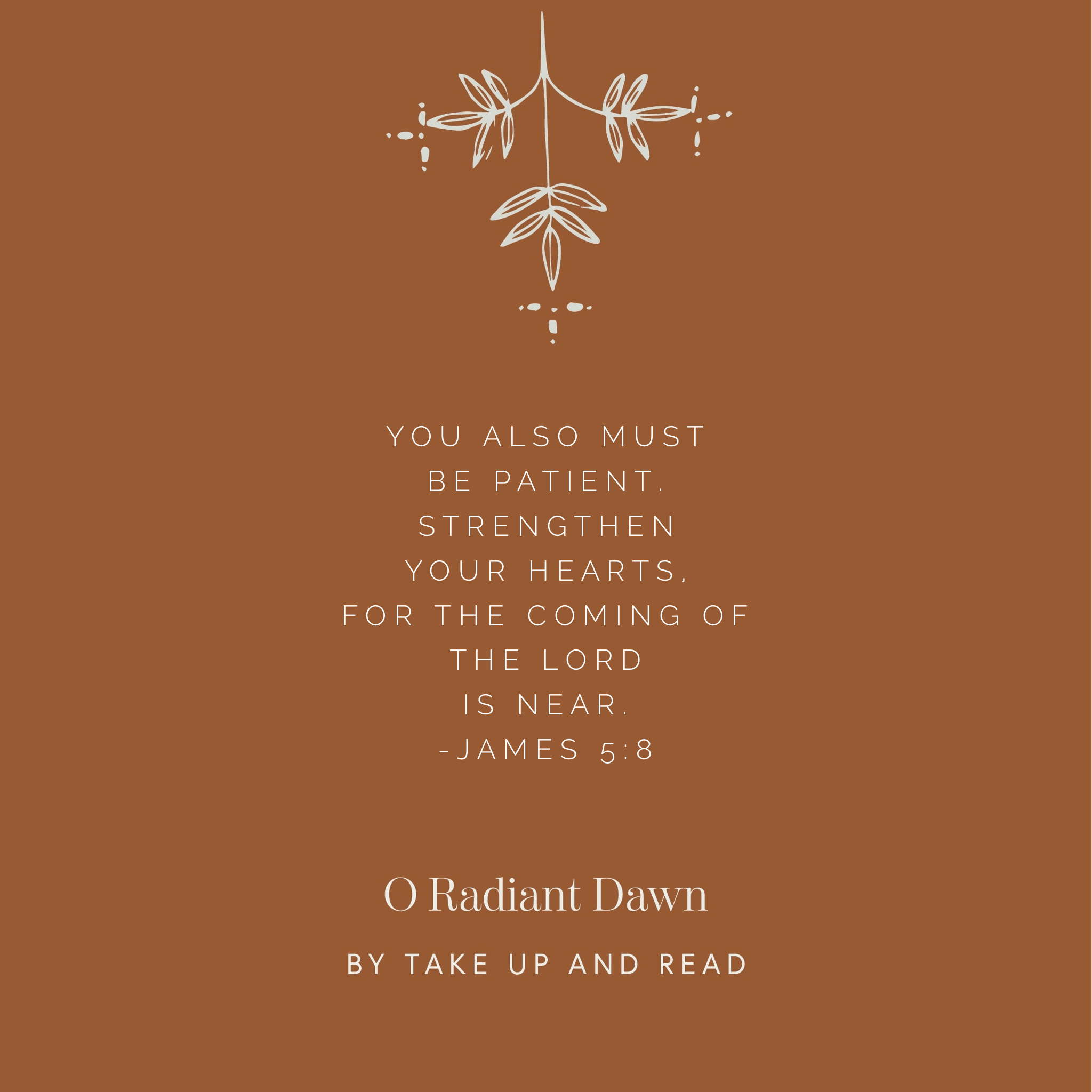 O Radiant Dawn: December 15