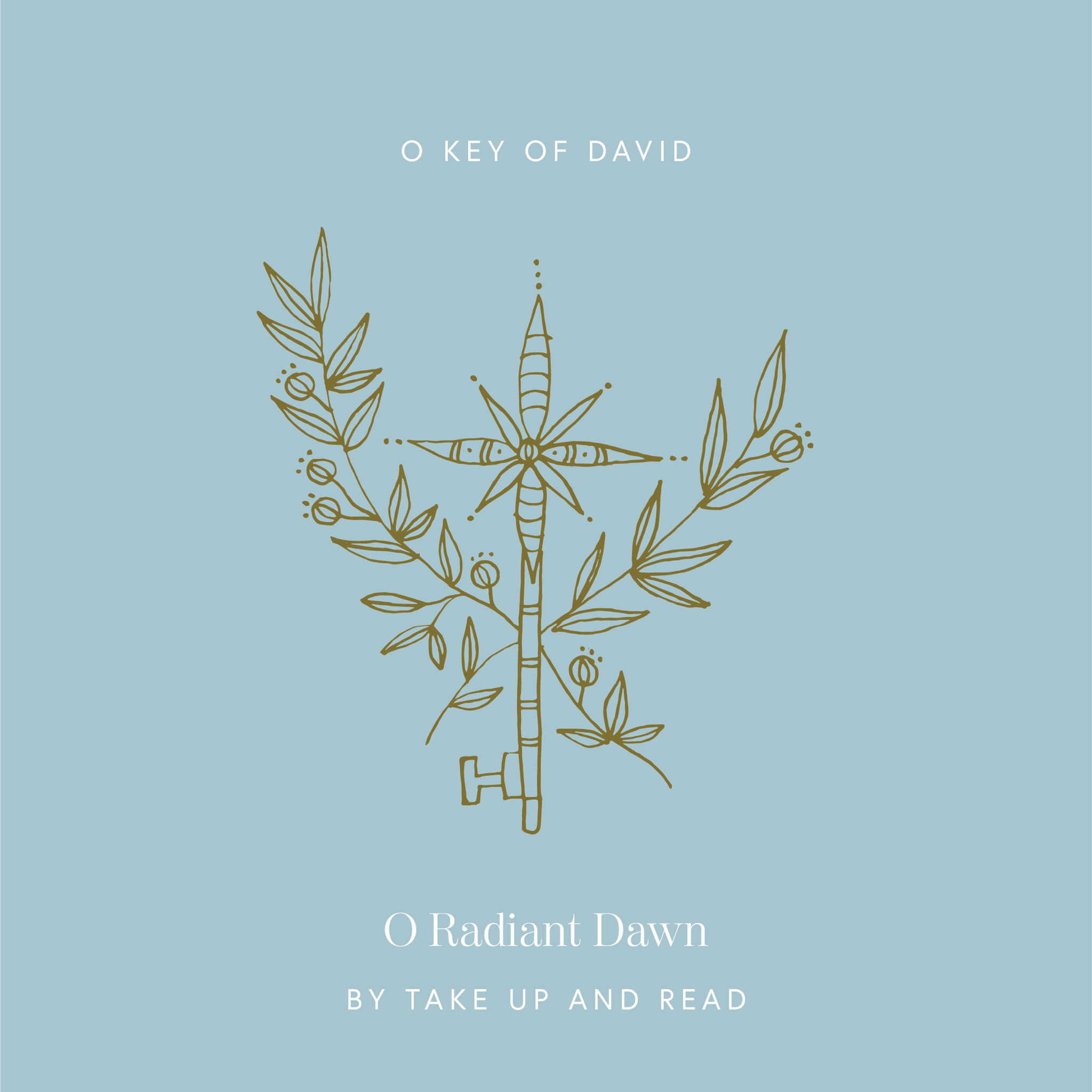 O Radiant Dawn: December 20