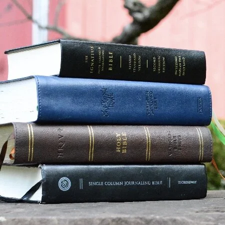 Friday of the Twenty-eighth Week in Ordinary Time